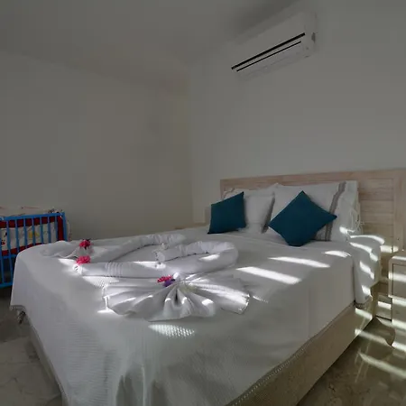 لايت أوف أبولون داليان